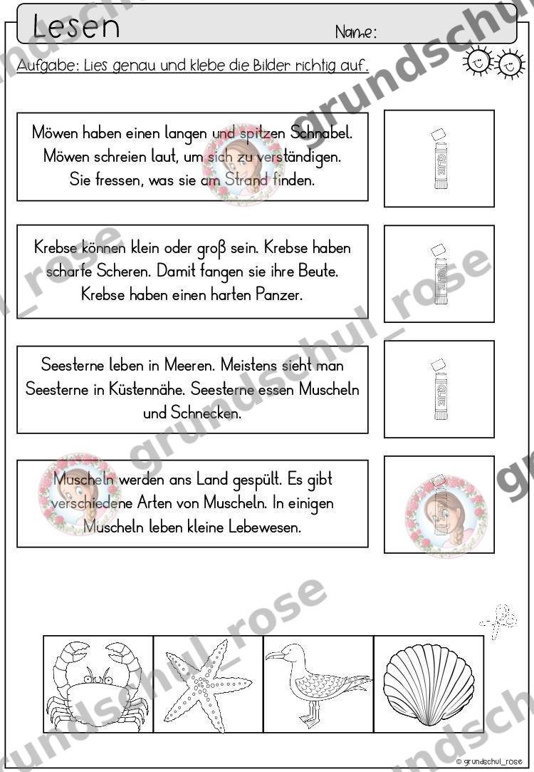 Materialvorschau, Seite 43