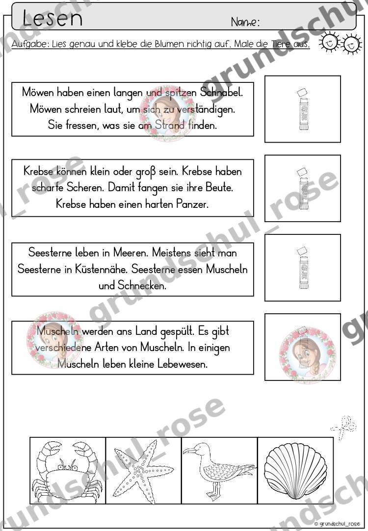 Materialvorschau, Seite 51