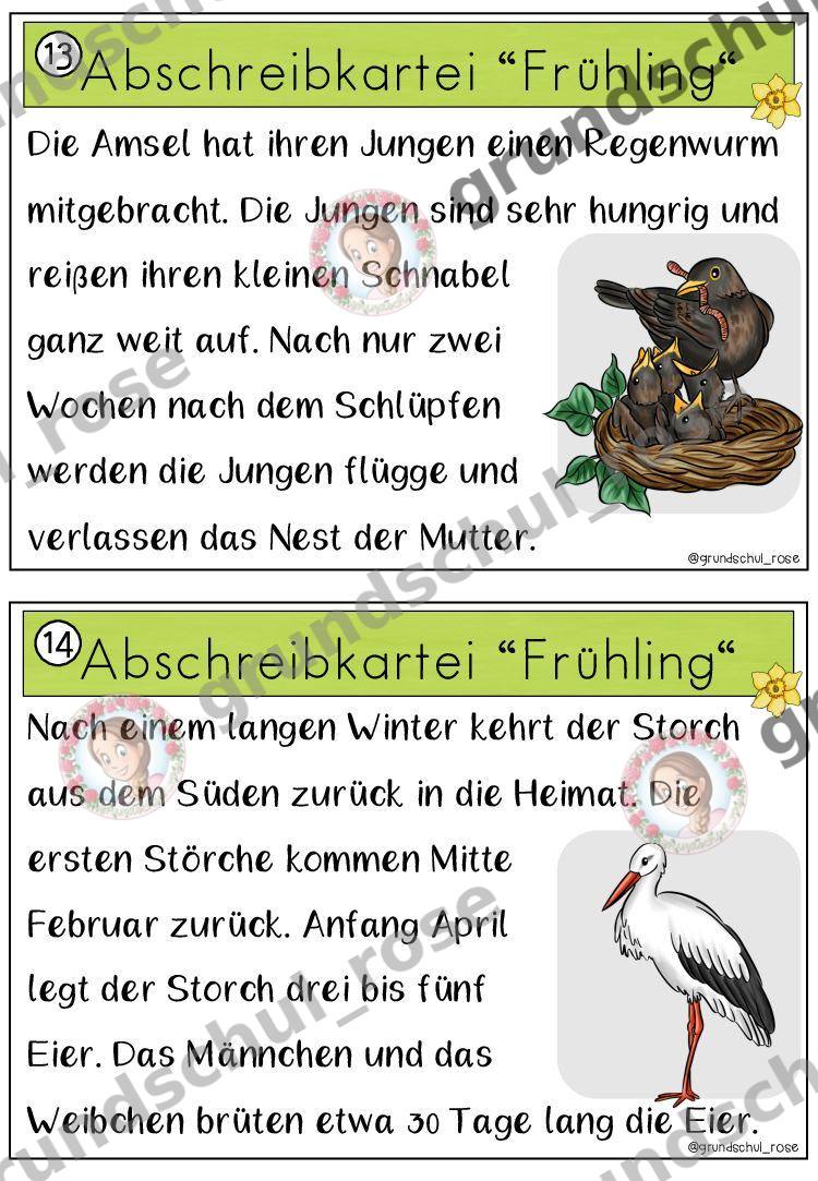 Materialvorschau, Seite 11