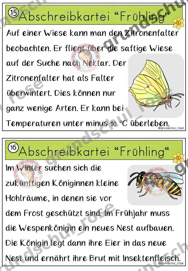 Materialvorschau, Seite 12