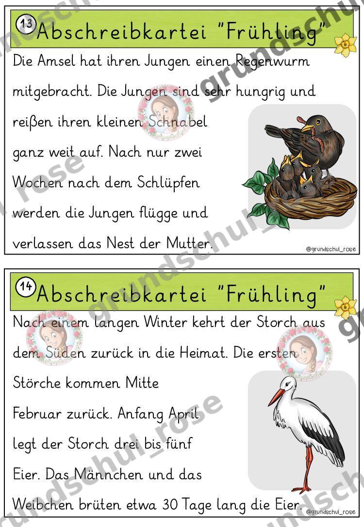 Materialvorschau, Seite 29
