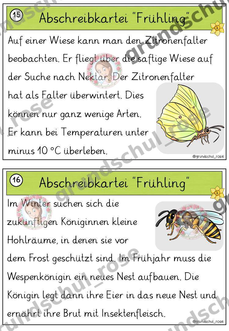 Materialvorschau, Seite 49
