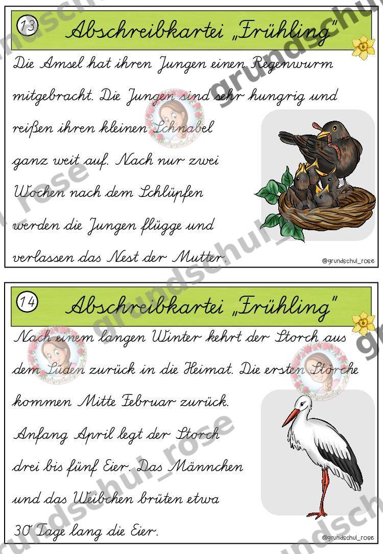 Materialvorschau, Seite 11