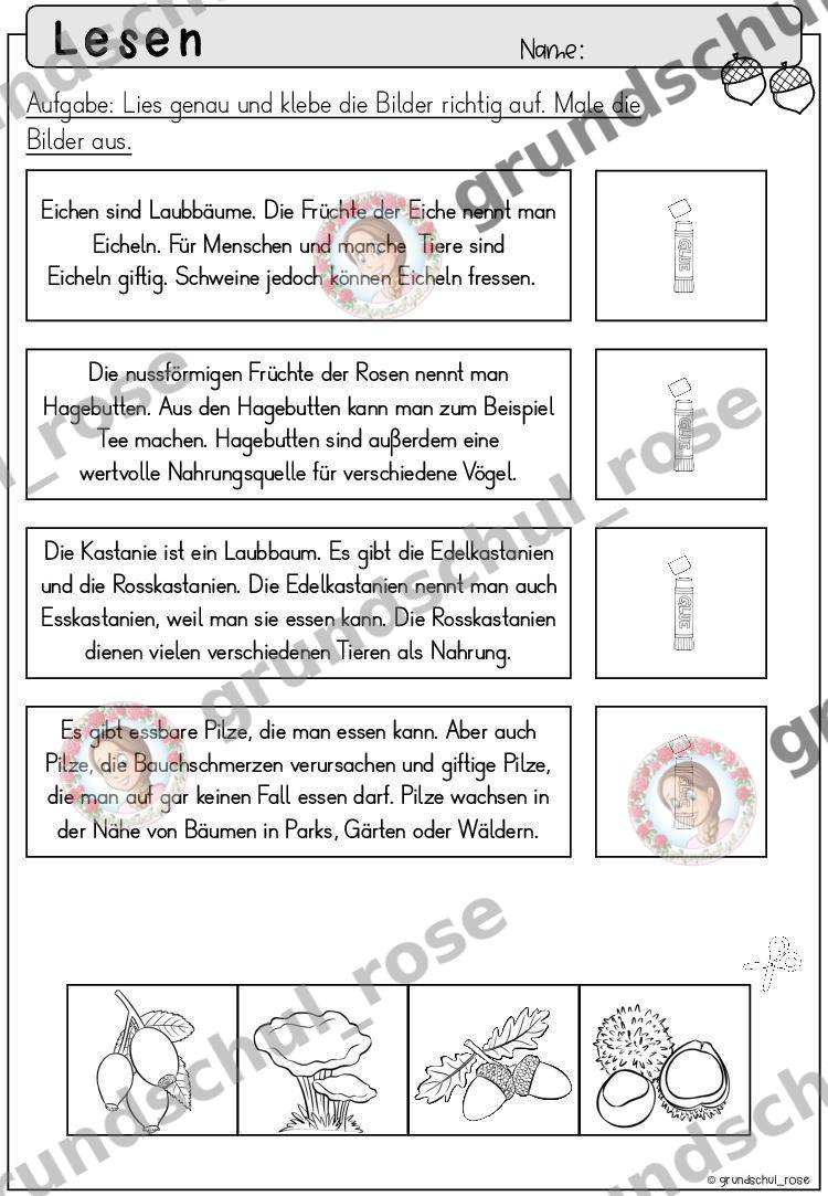 Materialvorschau, Seite 39