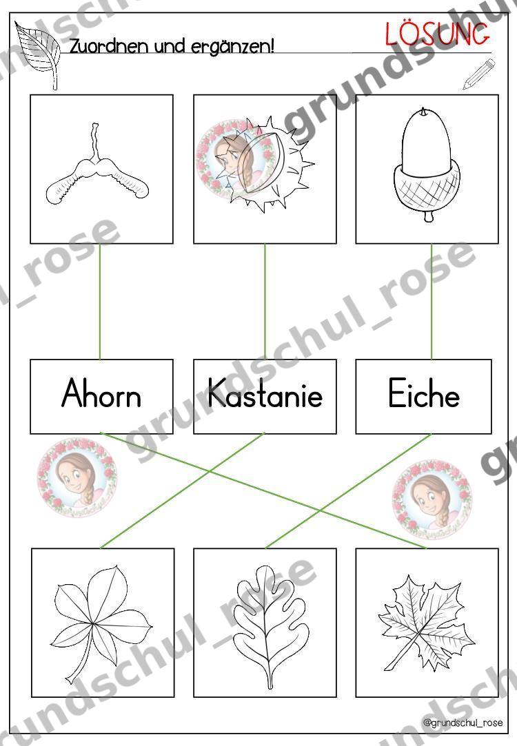 Materialvorschau, Seite 31