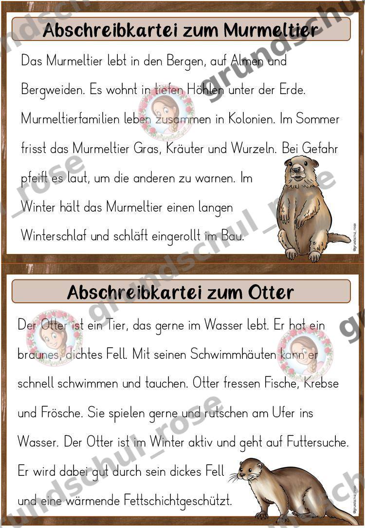 Materialvorschau, Seite 10