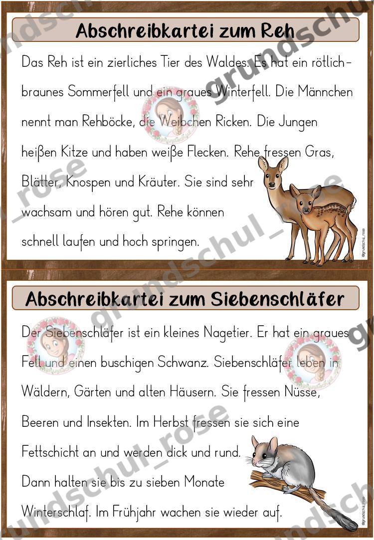 Materialvorschau, Seite 11