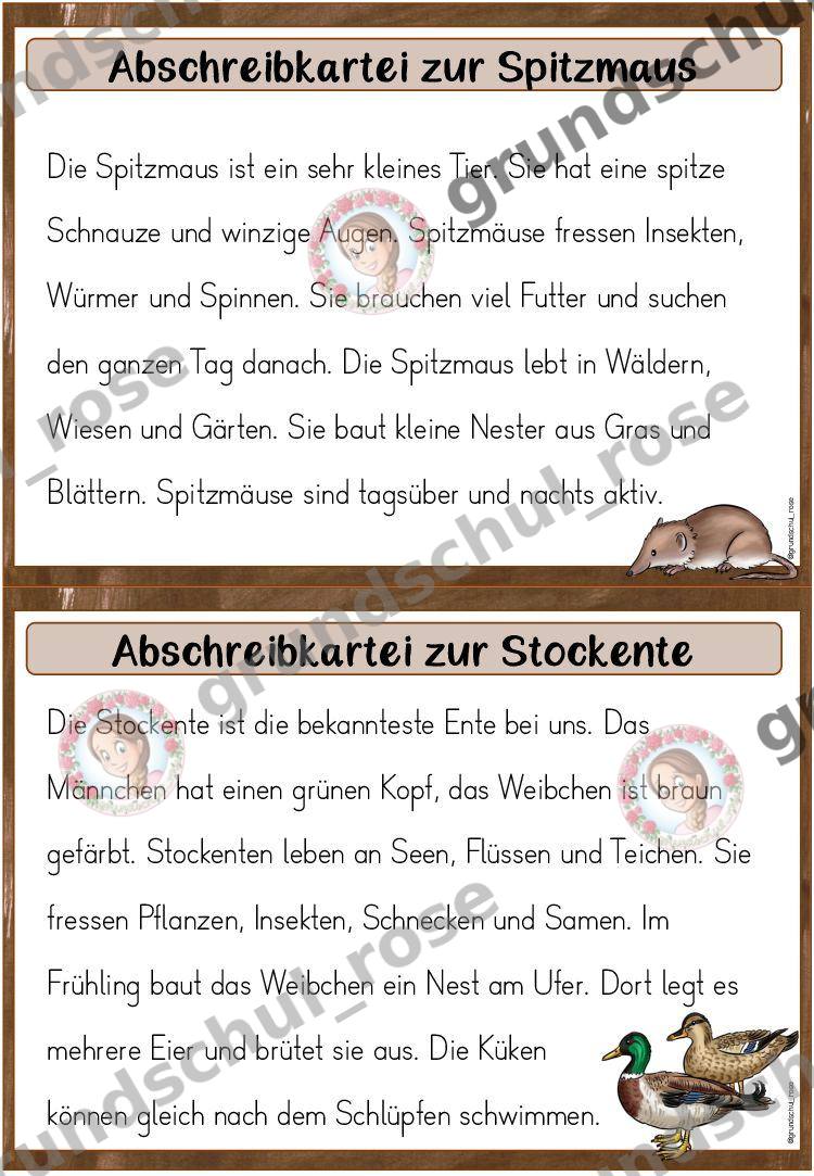 Materialvorschau, Seite 12