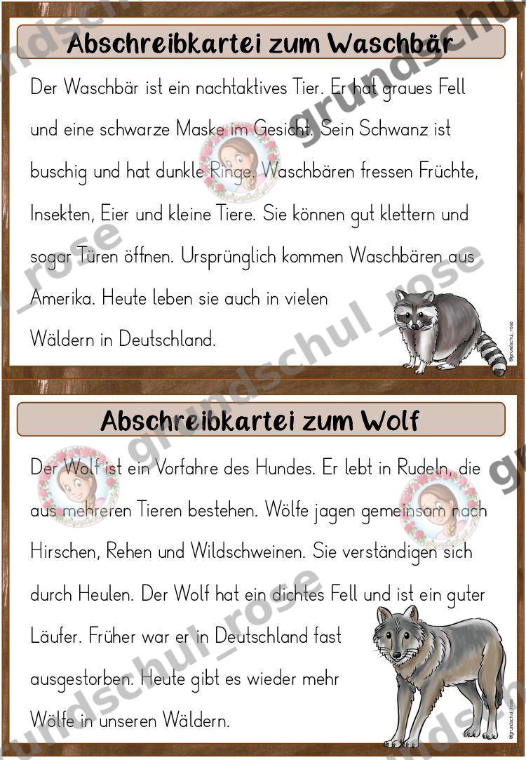 Materialvorschau, Seite 13