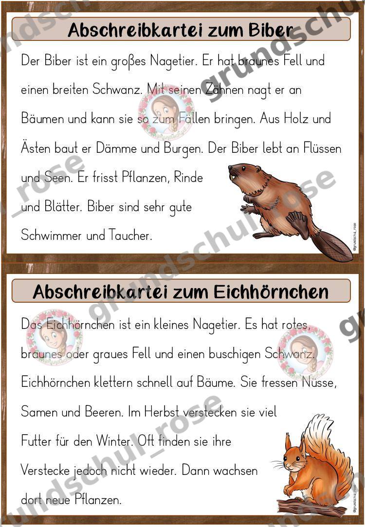 Materialvorschau, Seite 5