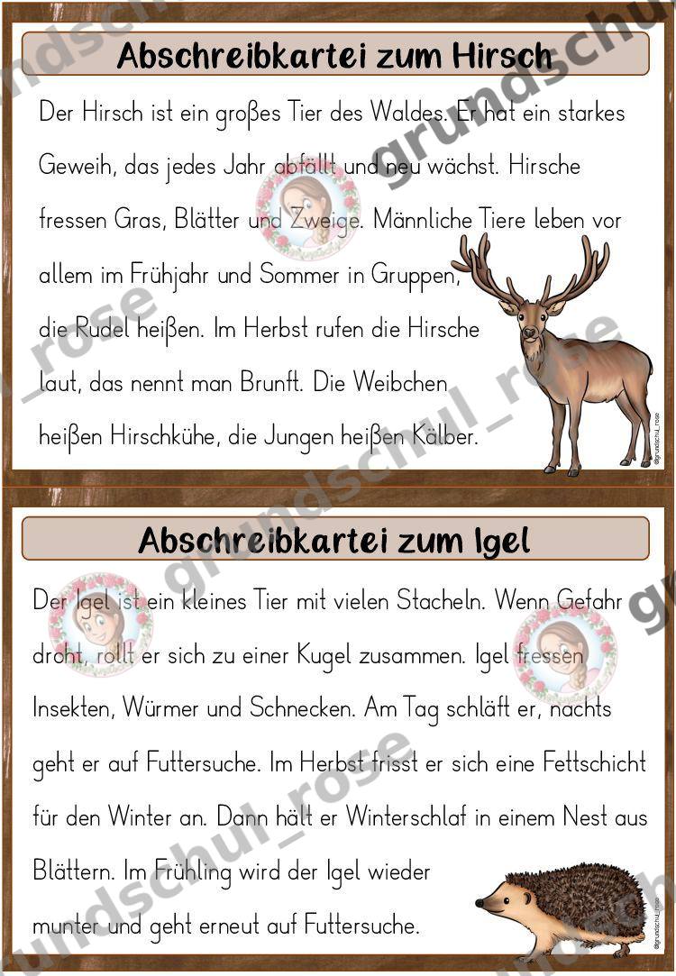 Materialvorschau, Seite 8