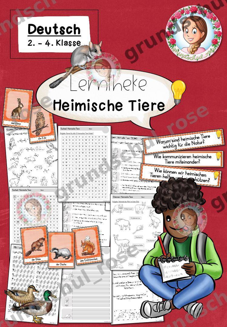 Materialvorschau, Seite 1