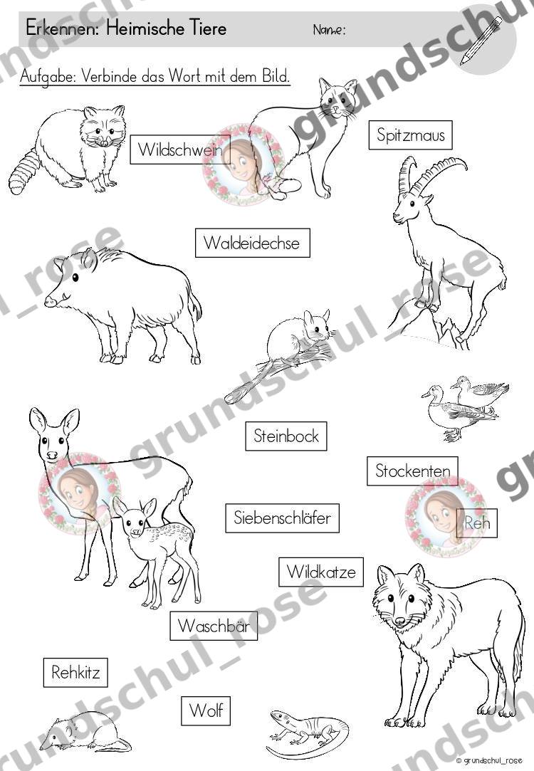 Materialvorschau, Seite 12
