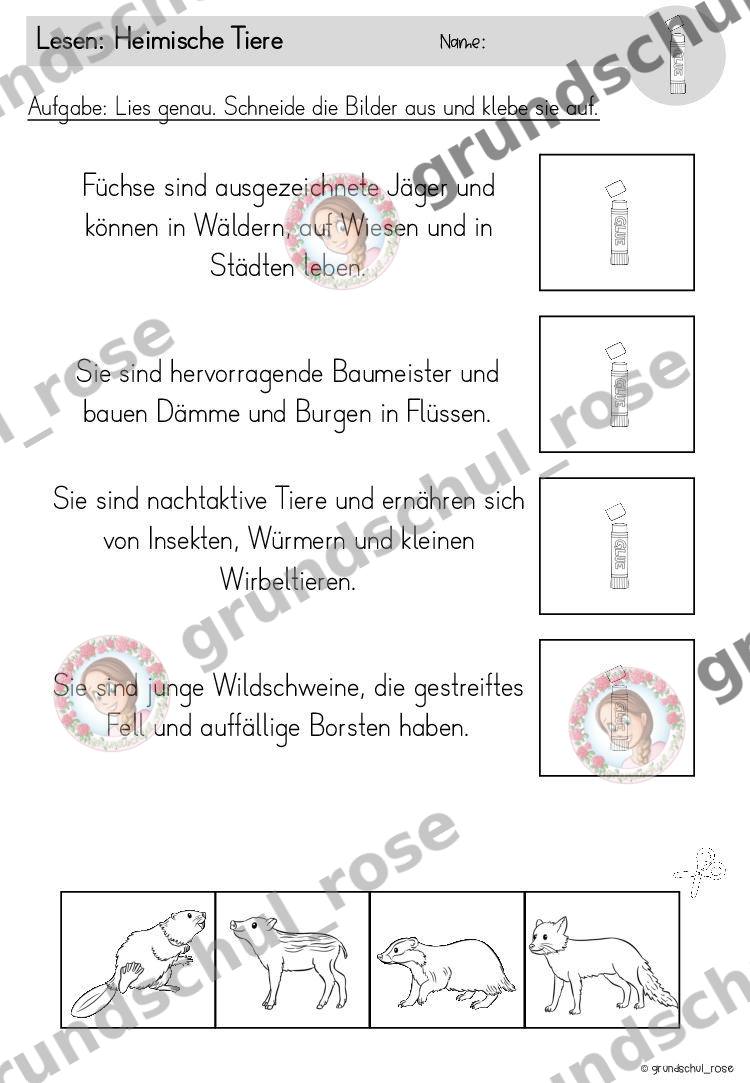Materialvorschau, Seite 13