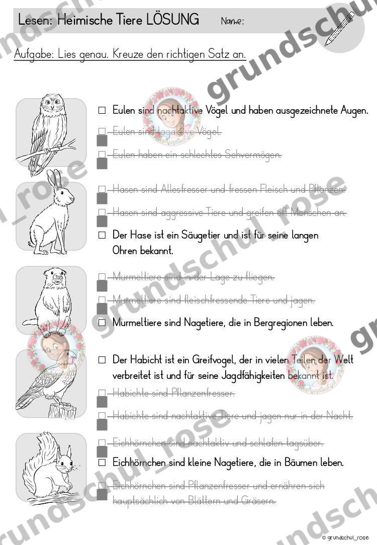 Materialvorschau, Seite 16