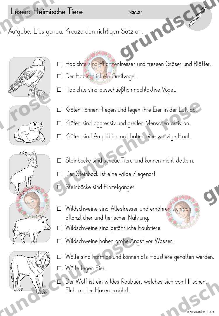 Materialvorschau, Seite 17