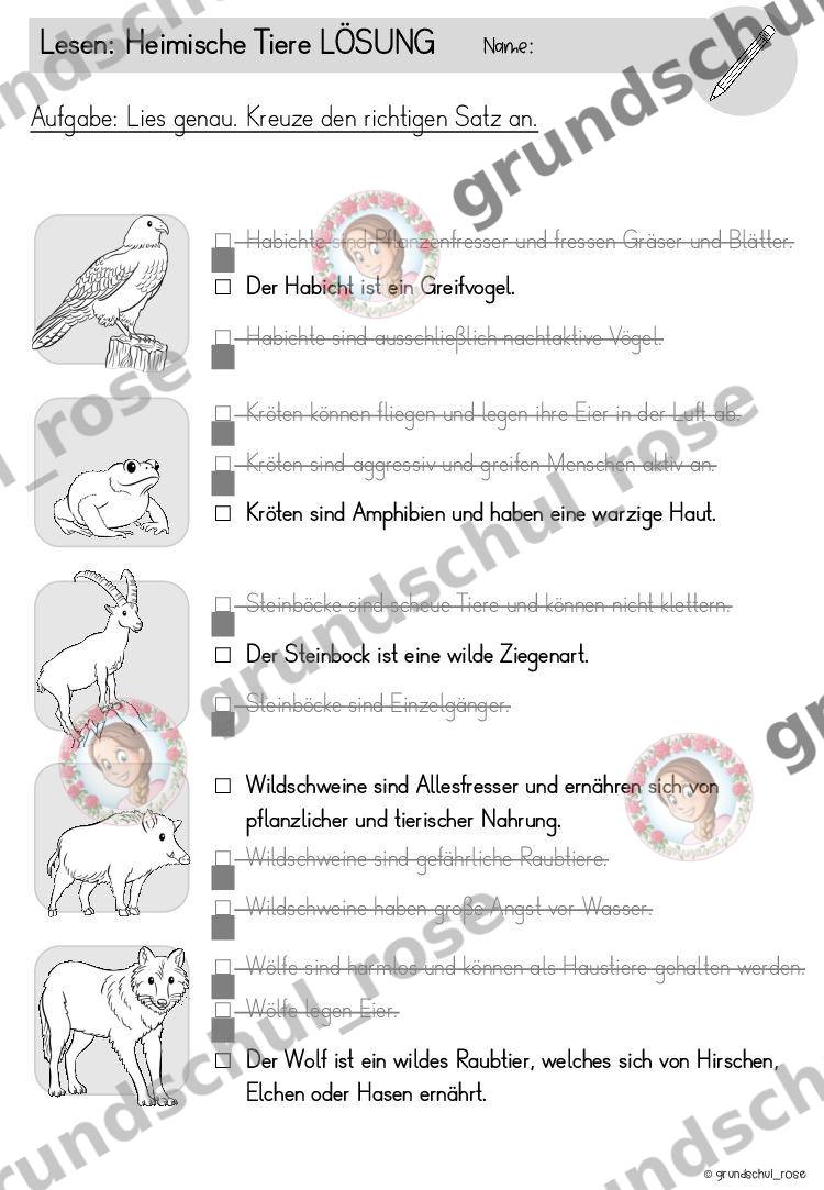 Materialvorschau, Seite 18