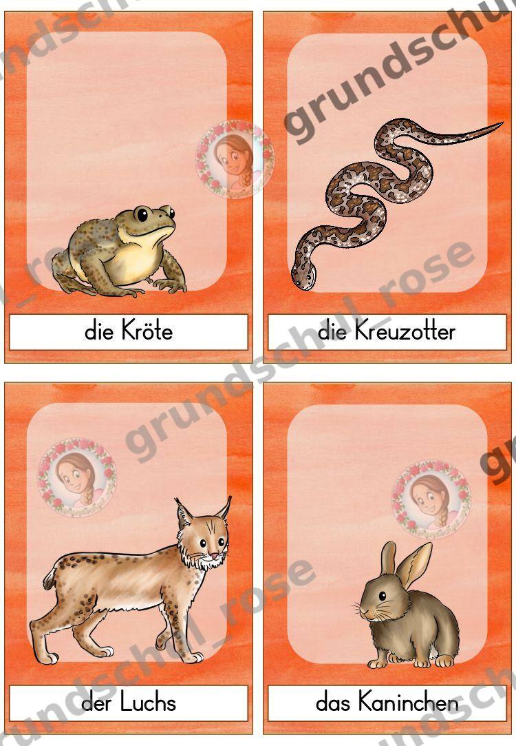 Materialvorschau, Seite 36