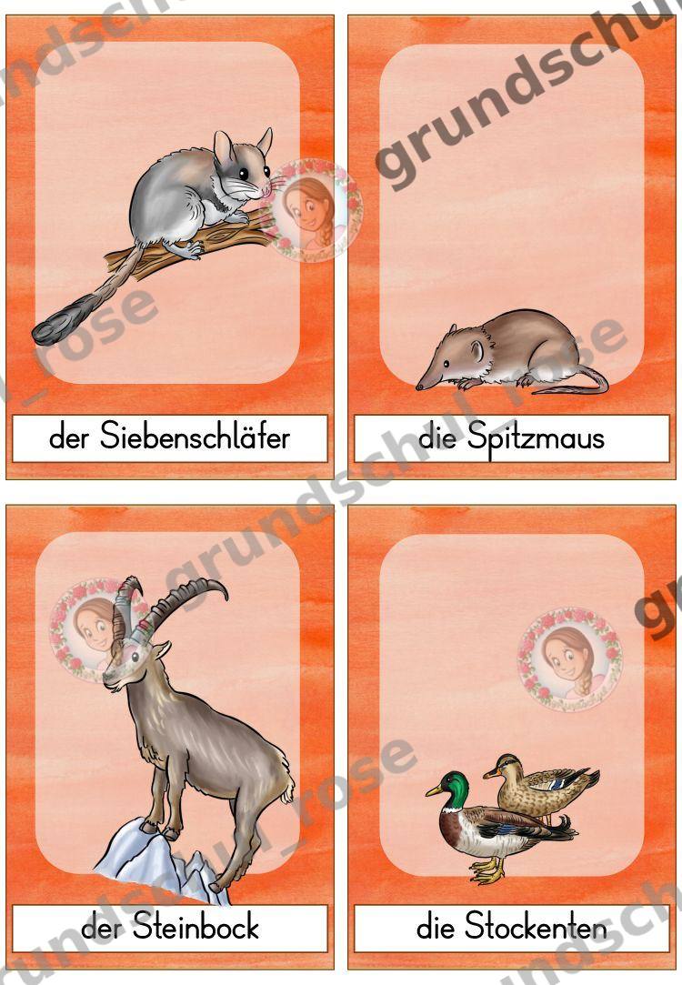 Materialvorschau, Seite 39