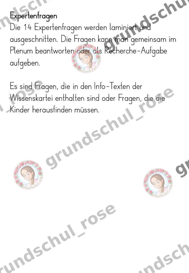 Materialvorschau, Seite 42
