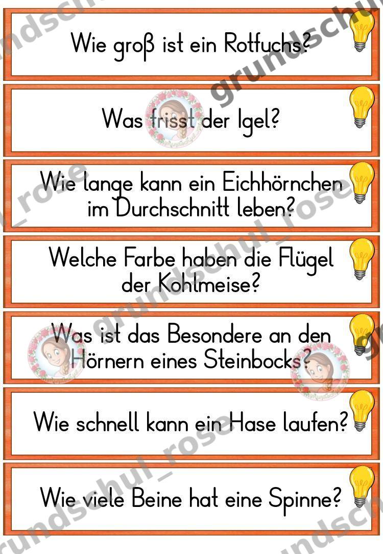 Materialvorschau, Seite 43