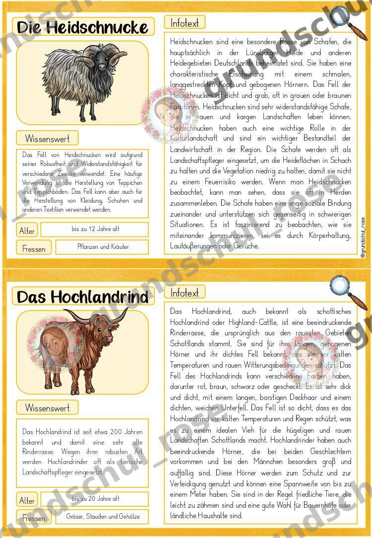 Materialvorschau, Seite 10