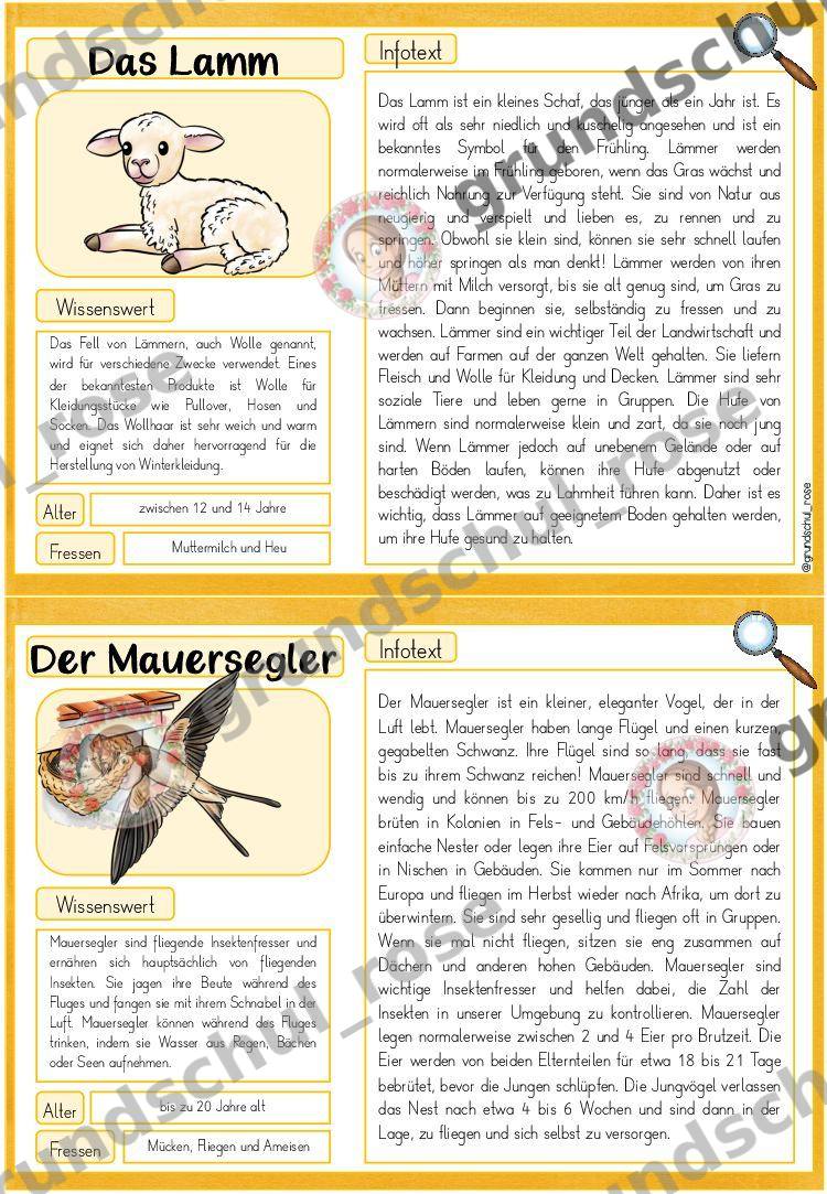 Materialvorschau, Seite 15