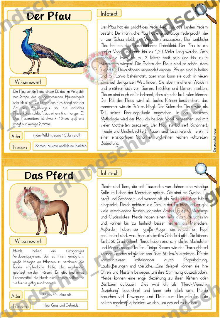 Materialvorschau, Seite 17