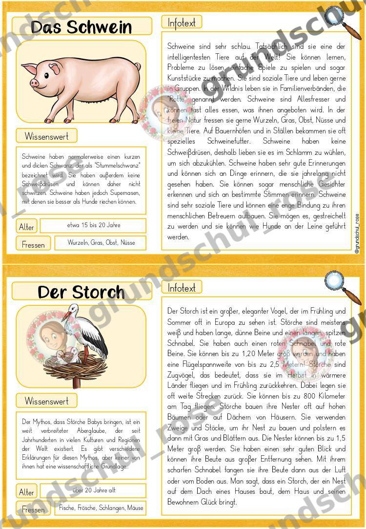 Materialvorschau, Seite 19