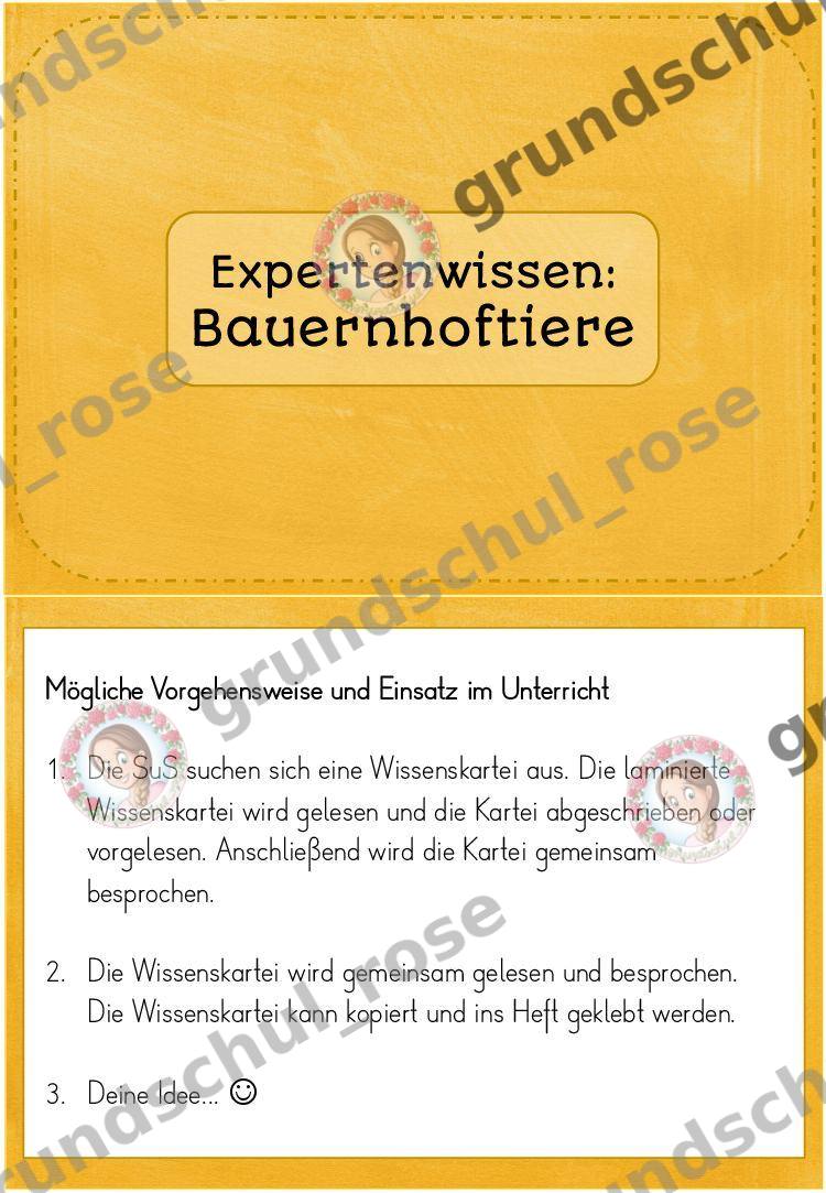 Materialvorschau, Seite 5