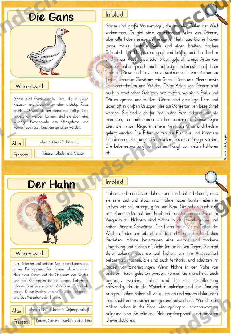 Materialvorschau, Seite 8