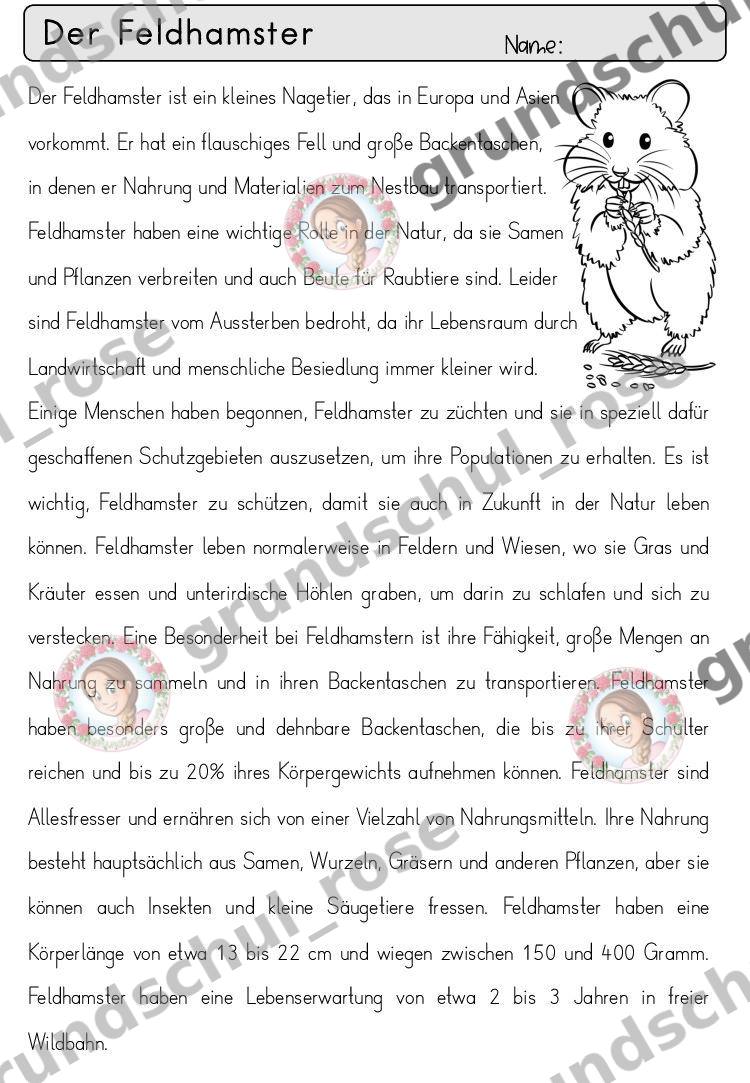 Materialvorschau, Seite 14