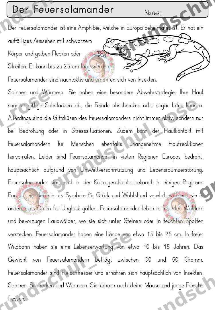 Materialvorschau, Seite 18