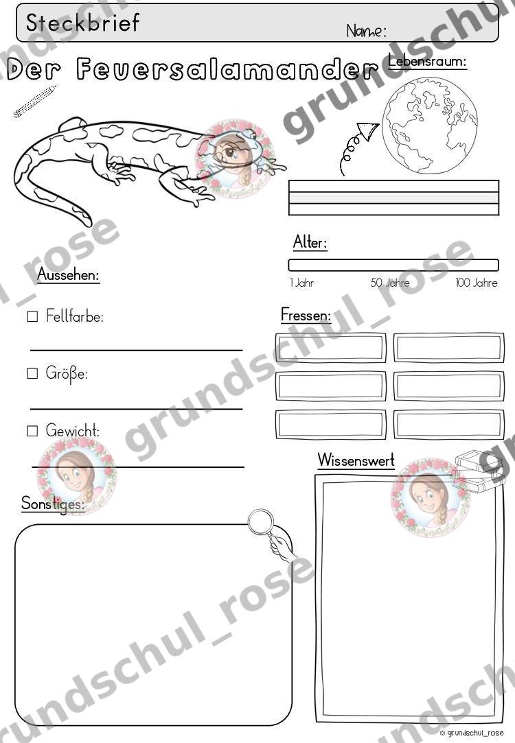 Materialvorschau, Seite 19