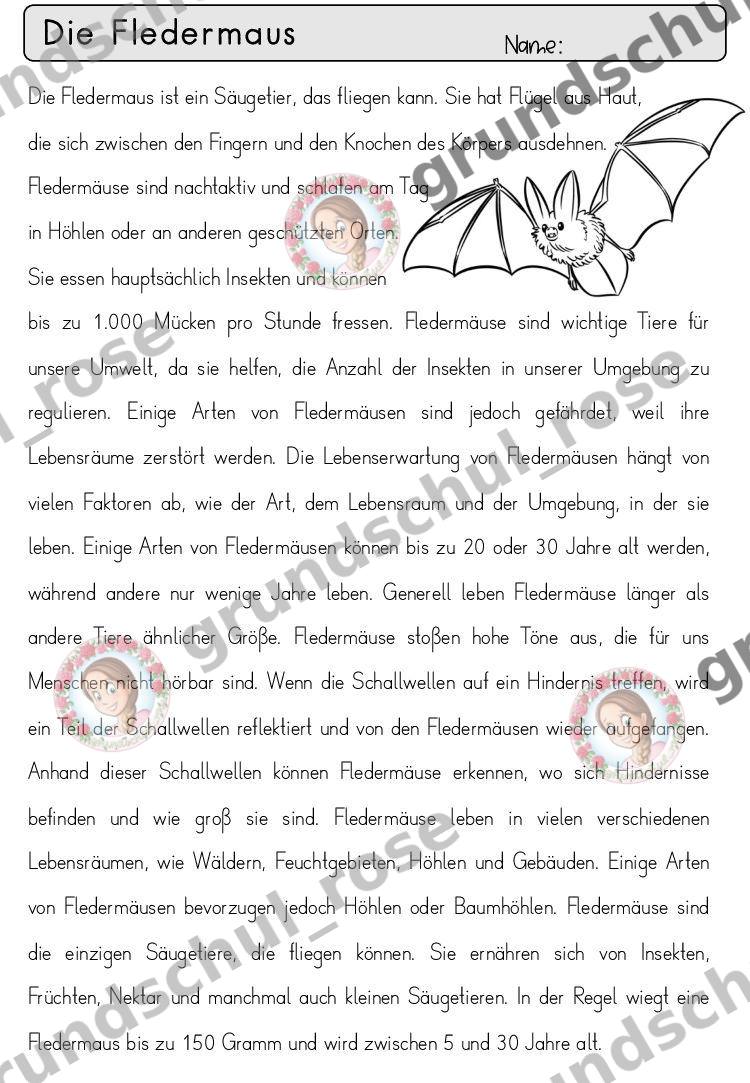 Materialvorschau, Seite 20