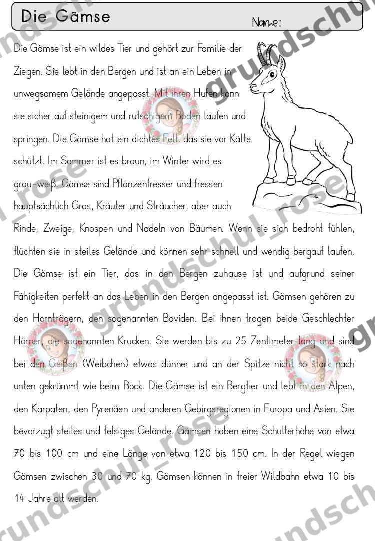 Materialvorschau, Seite 26
