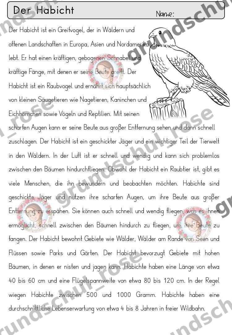 Materialvorschau, Seite 28