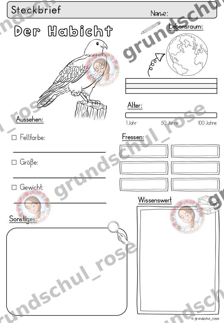 Materialvorschau, Seite 29