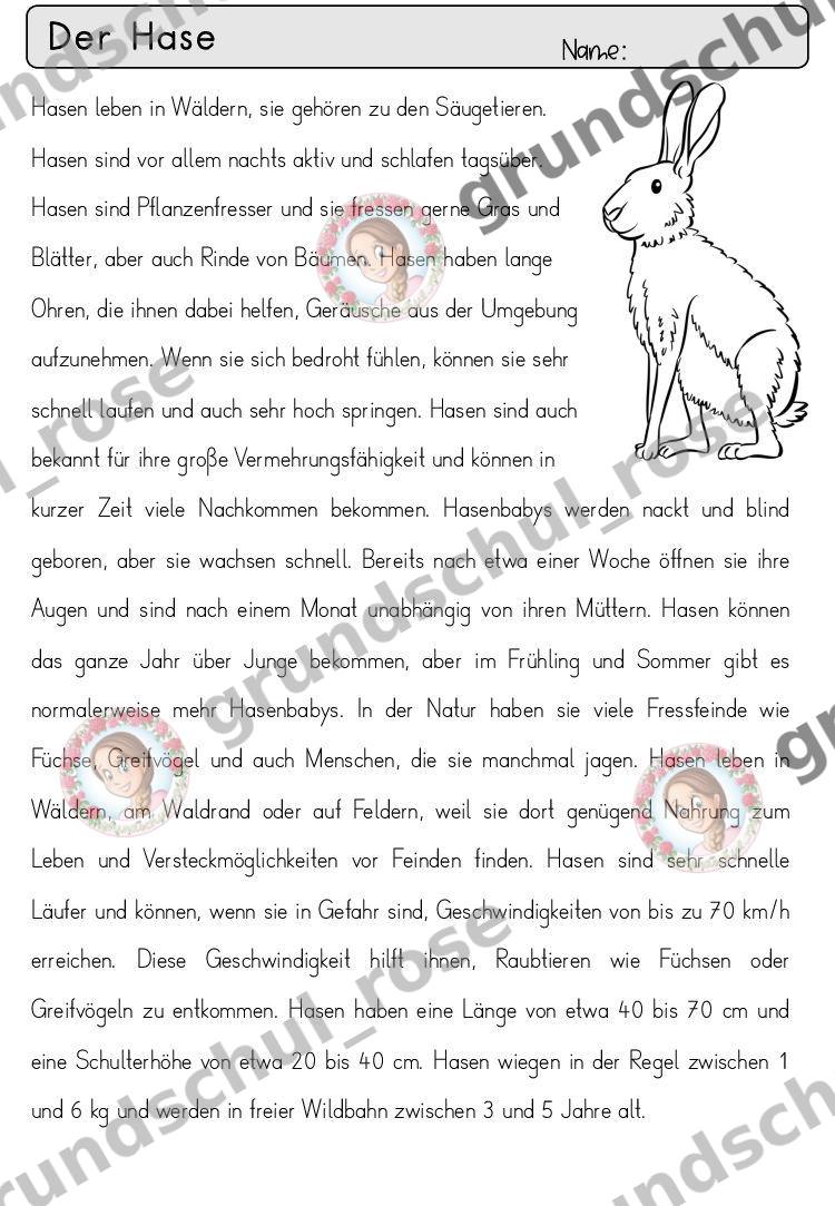 Materialvorschau, Seite 30