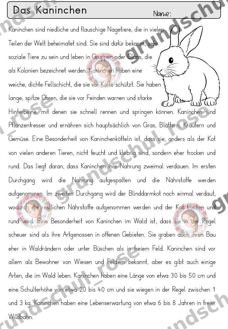 Materialvorschau, Seite 36