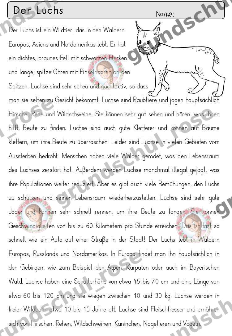 Materialvorschau, Seite 42