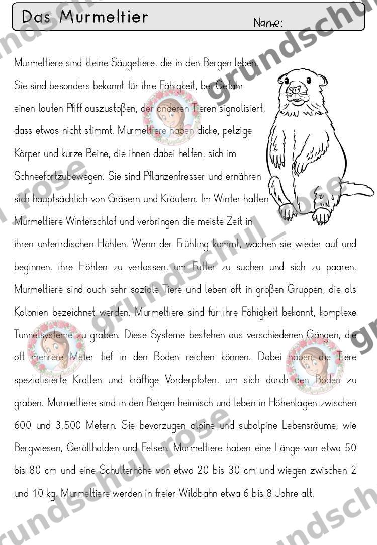 Materialvorschau, Seite 48