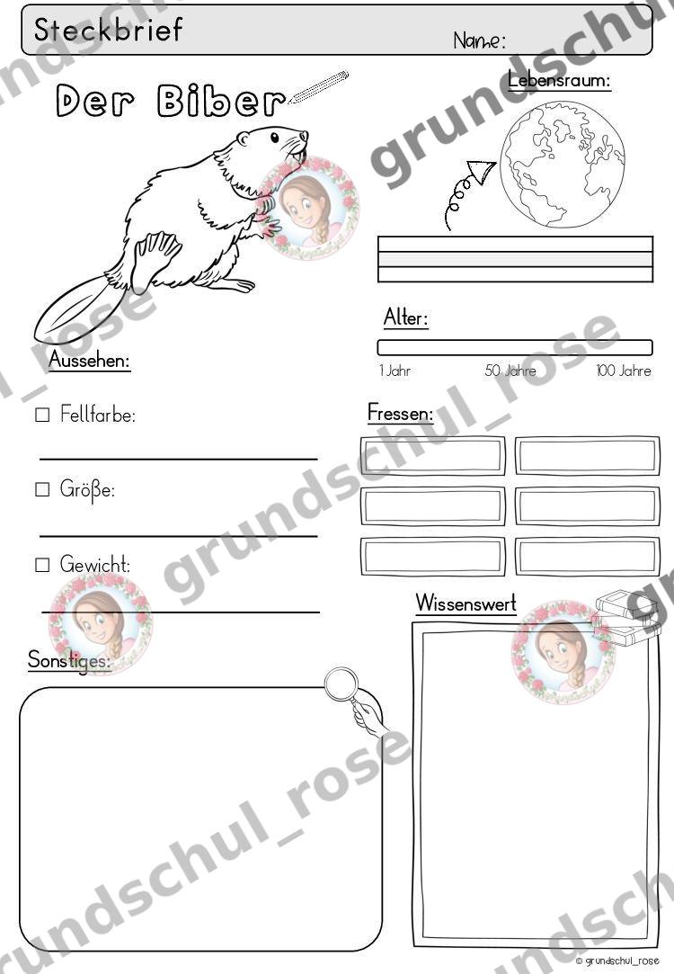 Materialvorschau, Seite 5
