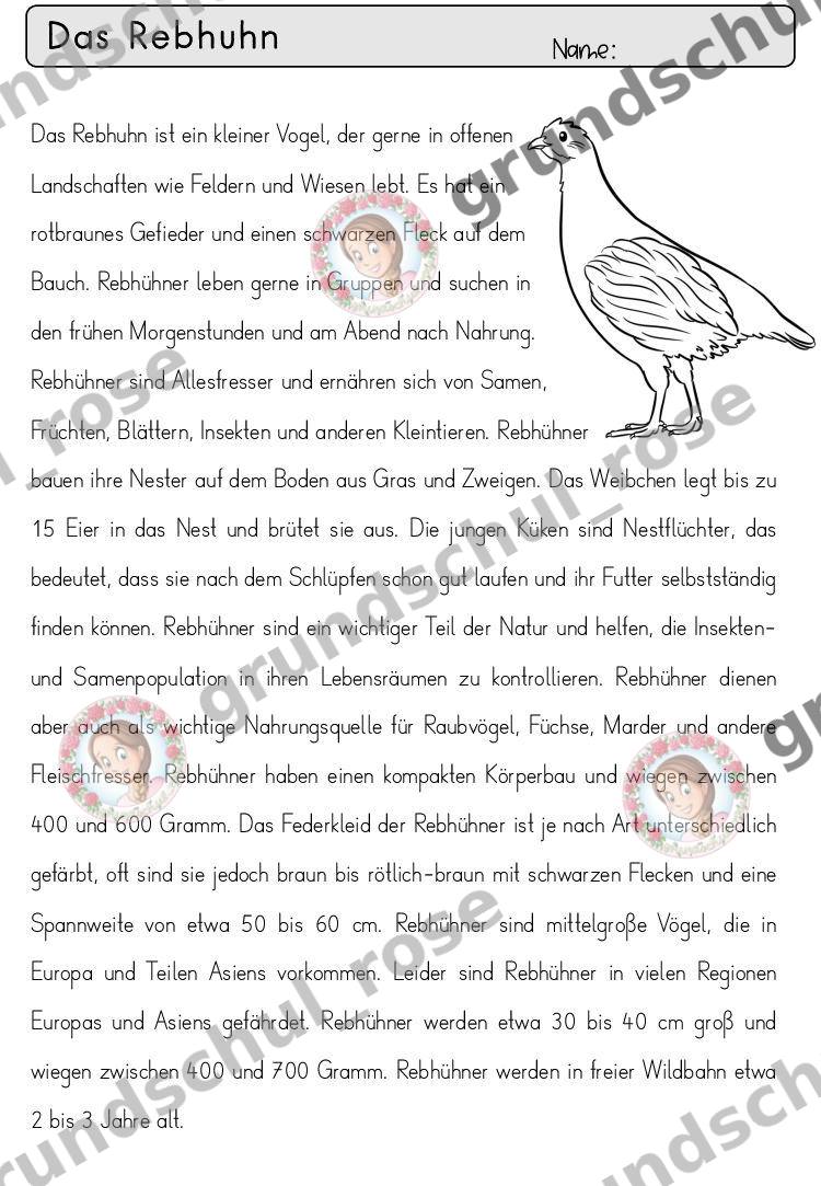 Materialvorschau, Seite 54