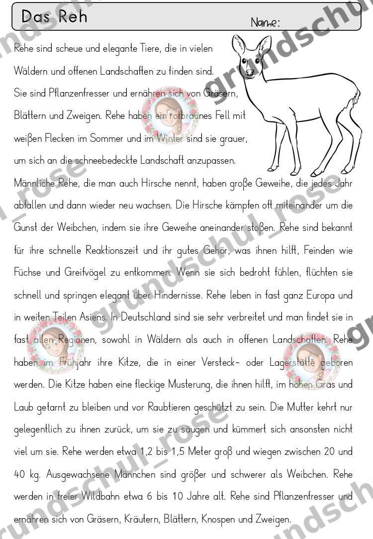 Materialvorschau, Seite 56