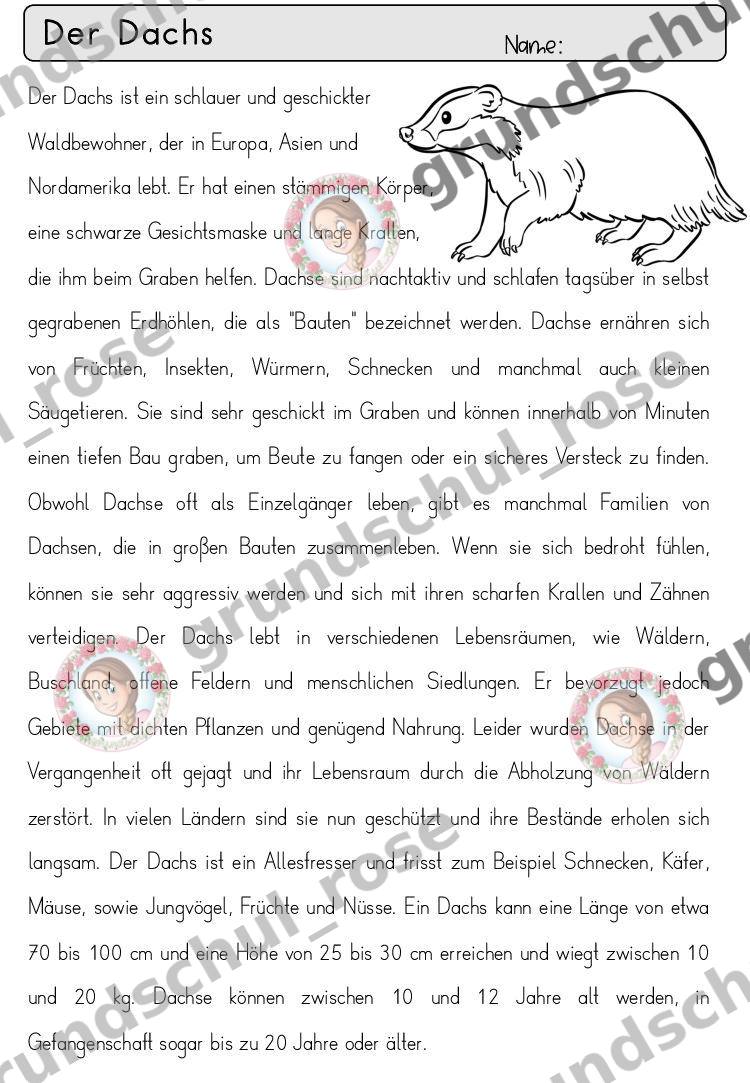 Materialvorschau, Seite 6