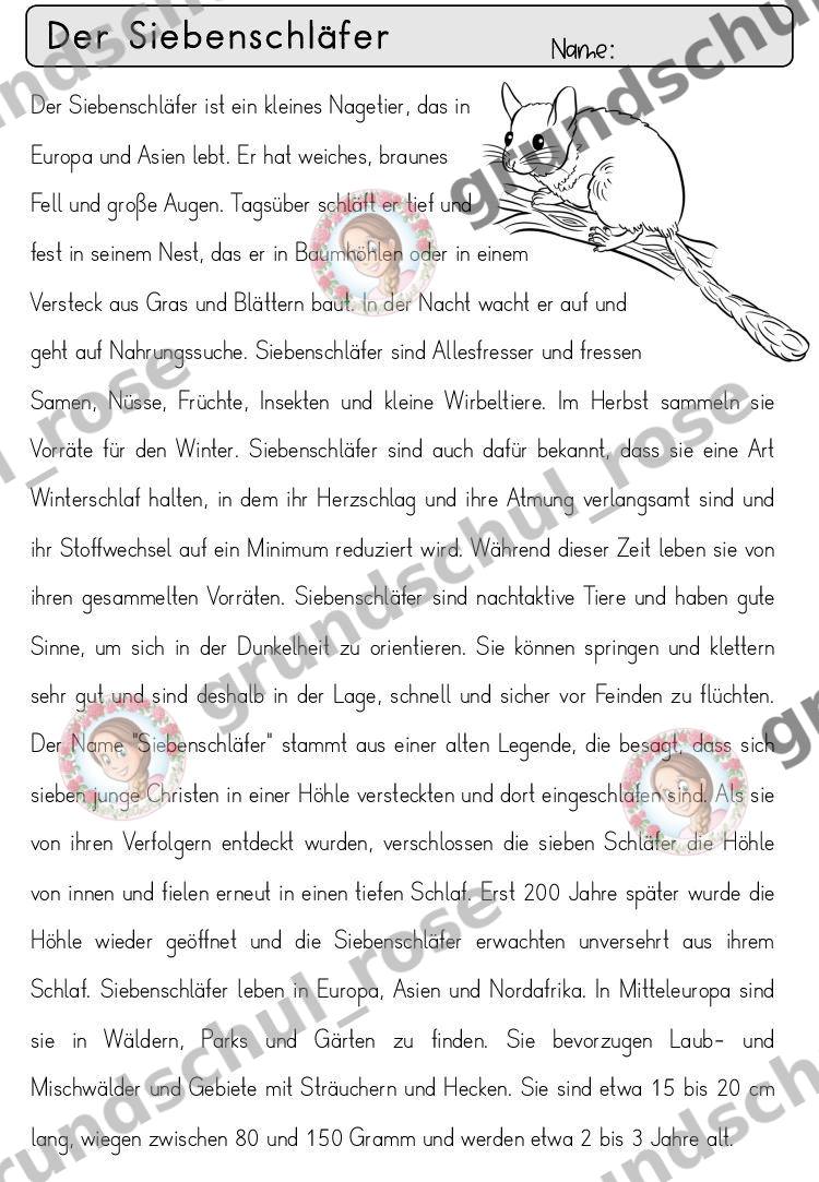 Materialvorschau, Seite 60