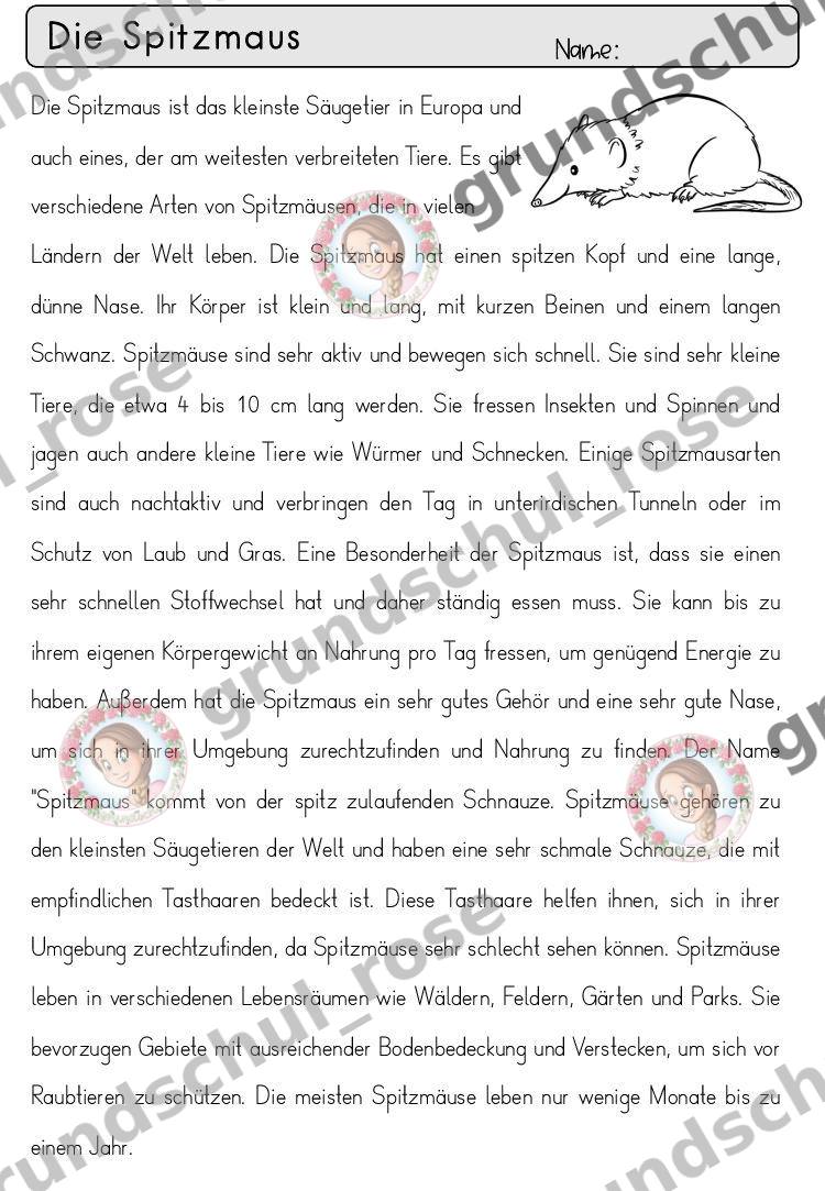 Materialvorschau, Seite 62