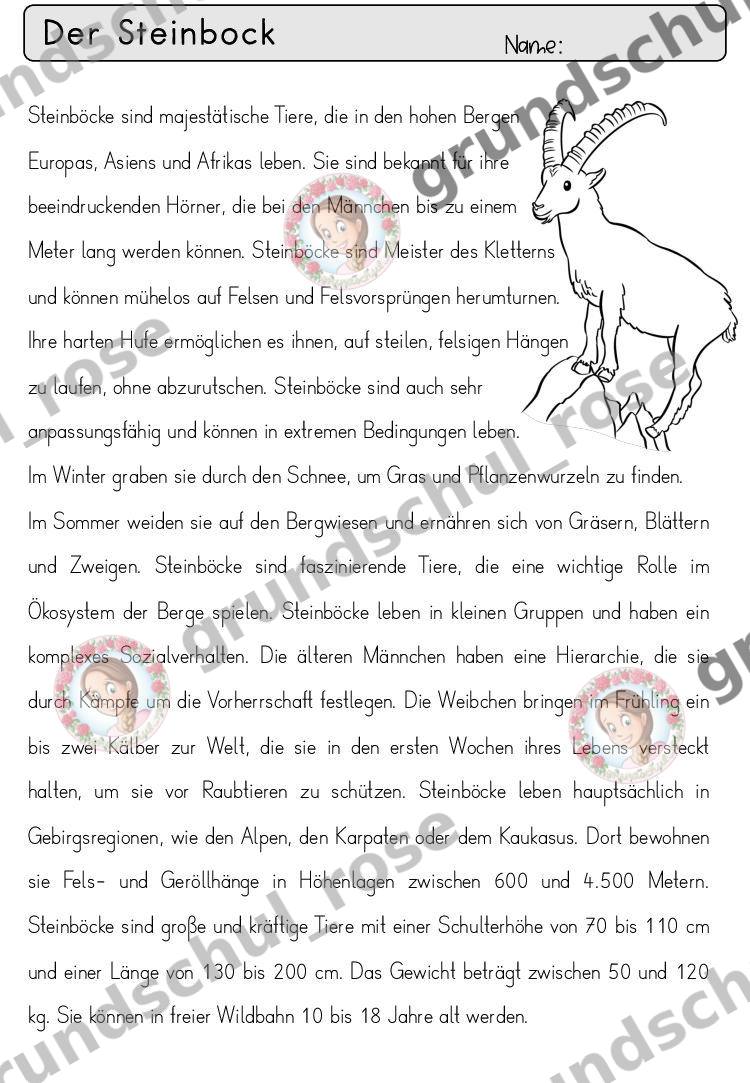 Materialvorschau, Seite 64