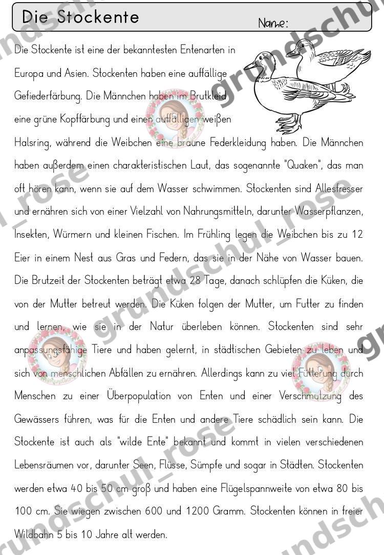 Materialvorschau, Seite 66